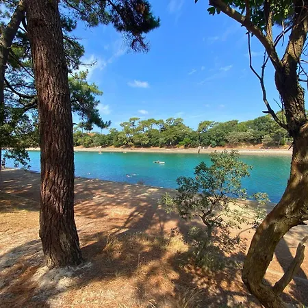 公寓 Le - Studio A Deux Pas Du D'hossegor